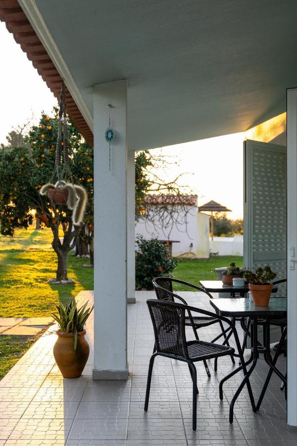 Na Quinta- Alojamento Rural Com Piscina De Agua Salgada Poceirao Exterior foto